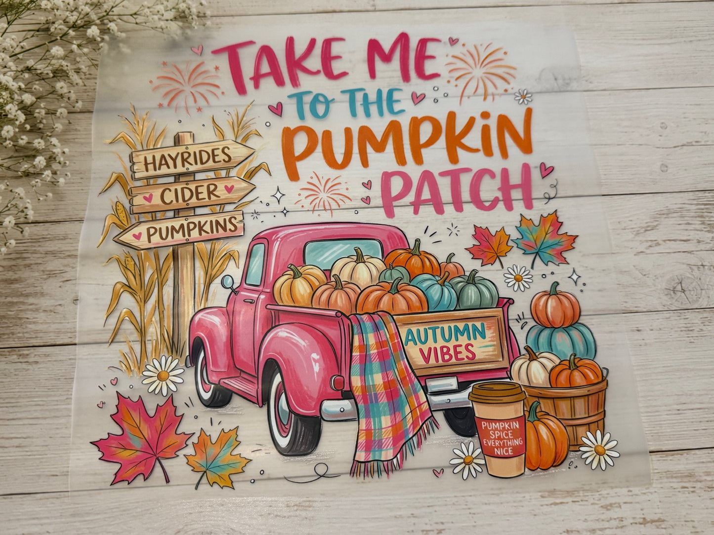 Take Me To The Pumpkin Patch
