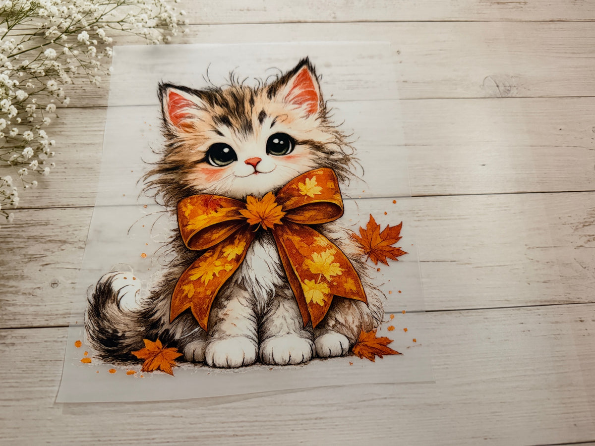 Youth Fall Kitty