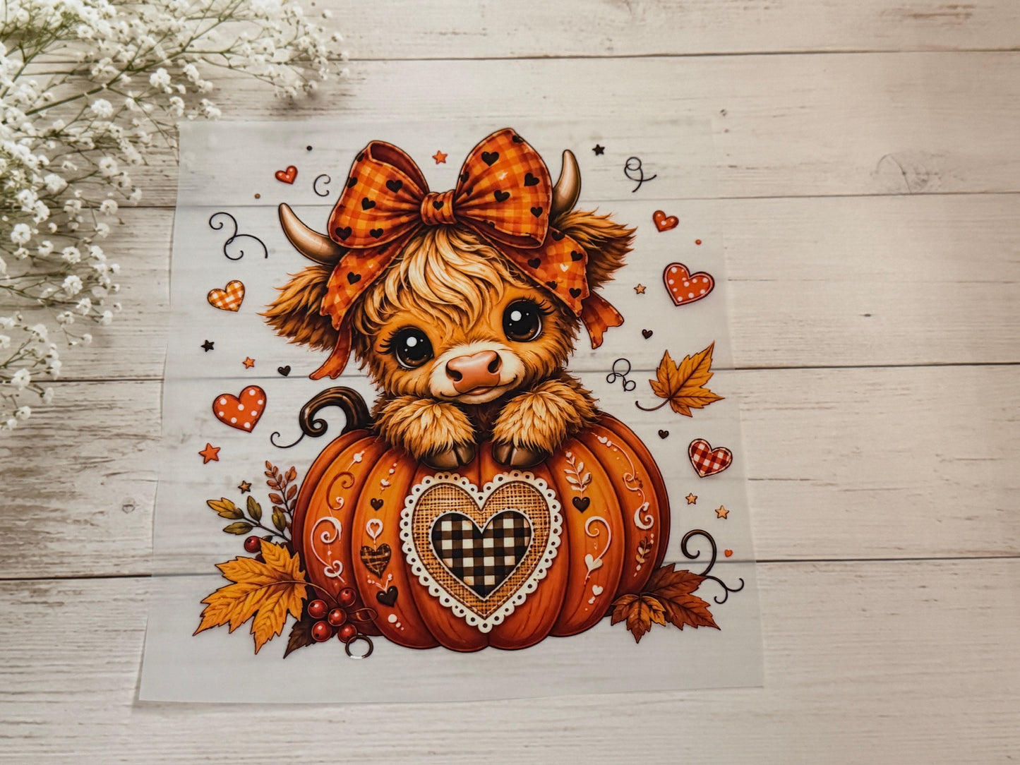 Youth Moo Pumpkin