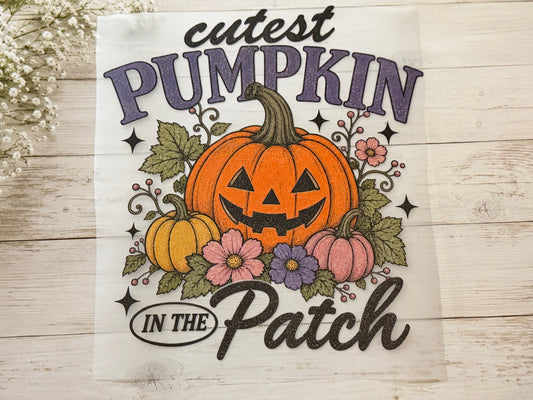 Cutest Pumpkin in the Patch