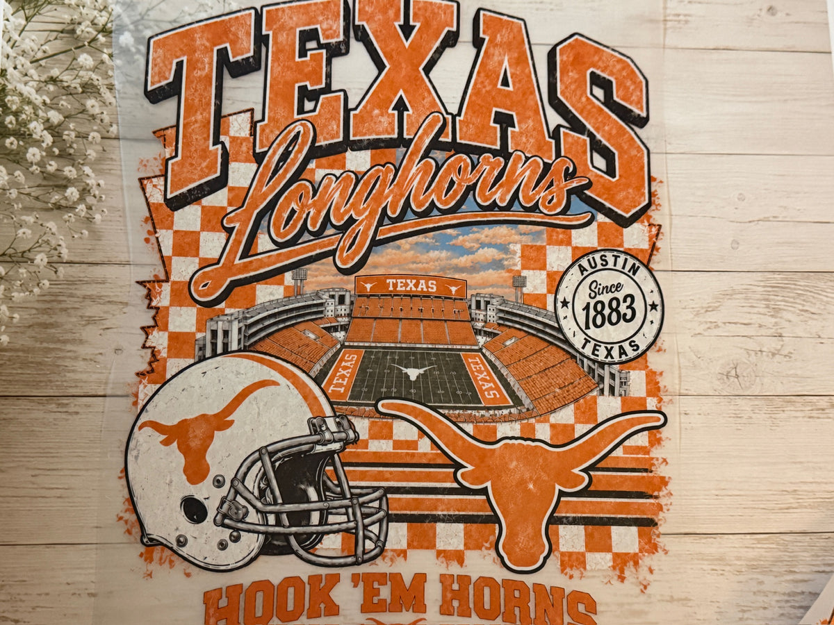 Texas Longhorns Field