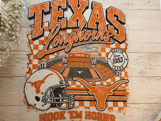 Texas Longhorns Field
