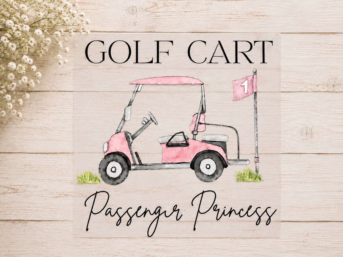 Passenger Princess